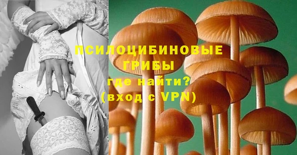 PSILOCYBIN Балахна